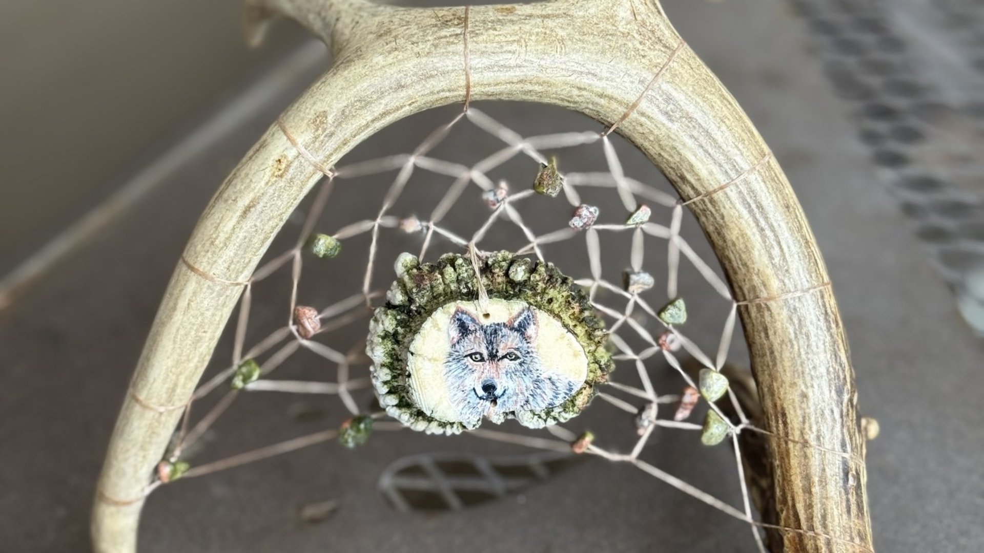 Antler Dream Catcher~Painted Wolf