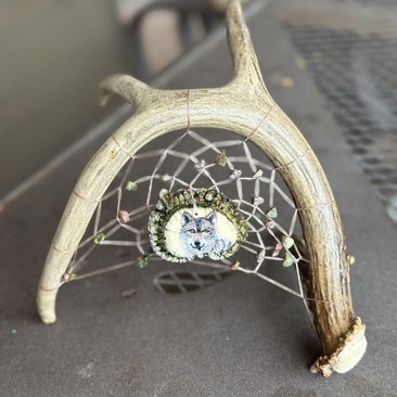 Antler Dream Catcher~Painted Wolf